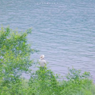 白洋淀湿地入选“鸟类天堂” 青头潜鸭连续三年在此育雏
