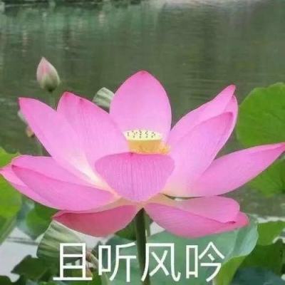 陕西省略阳县创新退役军人服务网络